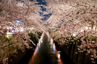 目黒川の桜ライトアップ