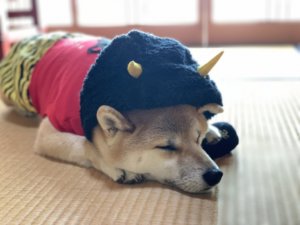 柏餅の葉っぱって食べる 巻いてる意味や緑と茶色の違い らいふイキイキ お役立ち豆チャンネル