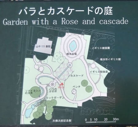 バラとカスケードの庭